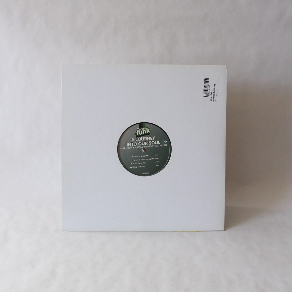 Deep josh & Camilo Franco feat. Kaysee ‎– A Journey Into Our Soul