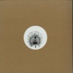 Jordan Poling - Plangent#009 Vinyl predaj lp platni