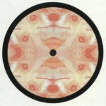 Martin Bellomo - Momentz004 - obchod s LP platnami vinyl