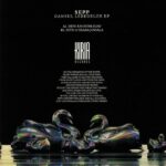 Sepp - Dansul Lebedelor vinyl