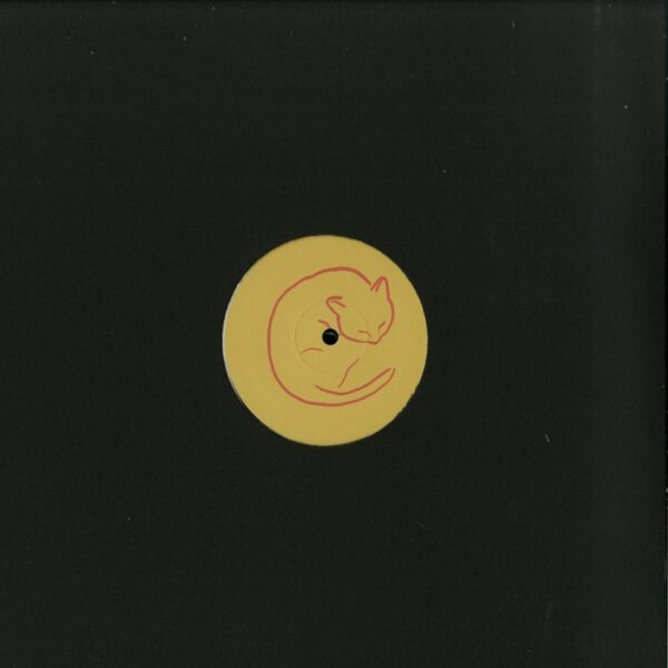 Wrng Pattern - Sounds From An Unknown Town Vinyl store predaj lp platni