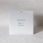 Shinedoe Feat. Miss Bunty - Circle Of Life Vinyl Second Hand