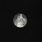 Niño Árbol - Hypereactive Vinyl