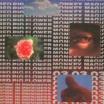 Red Pig Flower - Meduza Madness Vinyl