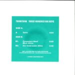 Thinktank - Three Hundred Big Boys EP Vinyl
