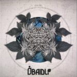 Zohki Bídlee - Down the Road Vinyl