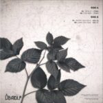 Zohki Bídlee - Down the Road Vinyl