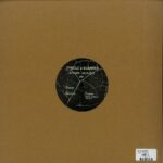 Ivaylo & Slammer - Hidden Origins EP vinyl