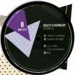 Maehara Motomitsu - Reality & Cosmology Vinyl