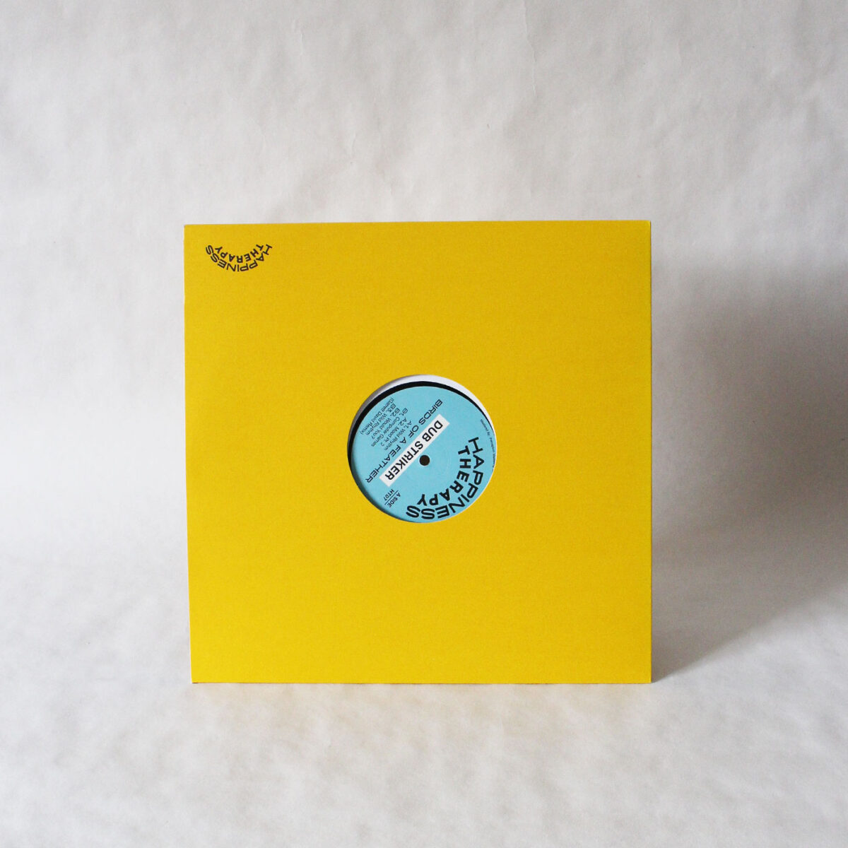 Dub Striker - Birds Of A Feather Vinyl Second Hand