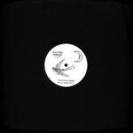 Mystigrix & Reo Seis ft. Paris Brightledge - Mile High Remixes EP Vinyl
