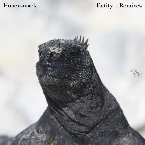 Honeysmack - Entity + Remixes Vinyl