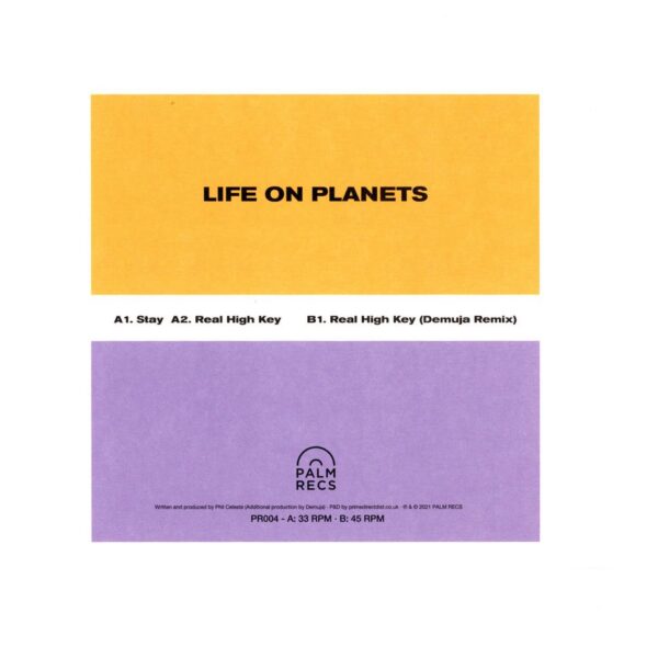 Life On Planets - Stay Vinyl