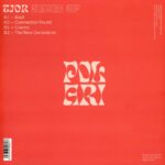 Tjor - Azuli Vinyl Electro House Break-Beat