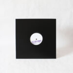 Dez Williams - The Vinyl Second Hand Acid Techno
