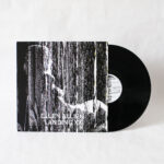 Ellen Allien - Landing XX Vinyl Second Hand Techno
