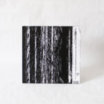 Ellen Allien - Landing XX Vinyl Second Hand Techno