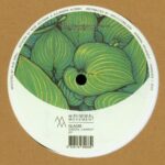 Gladis - Green Carrot EP Vinyl Minimal House Deep House Tech House