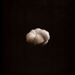 Onirico - Stolen Moments (30th Anniversary Edition) Vinyl Acid House Deep House