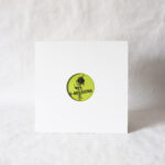Caiazzo - The Devotion Vinyl Second Hand Techno