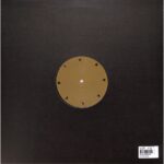 Roger Gerressen - Bloodflow (Vinyl) Diurnal Dub Techno