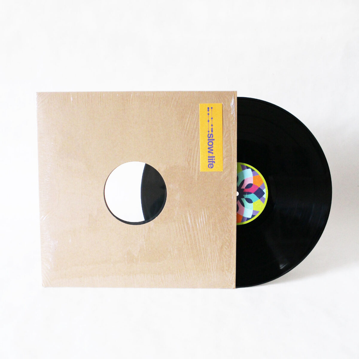 Paolo Mosca - La Teoria Delle Stringhe Vol. 2 (Vinyl Second Hand) Slow Life – SL025 Deep House Minimal House