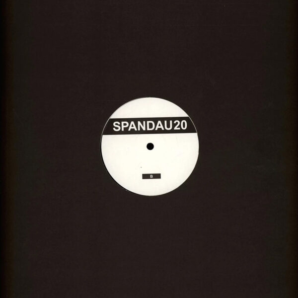 FJAAK & Tobi Neumann - Open The Doors (Vinyl) Electro Techno Breaks SPANDAU20 ‎– SPND20007