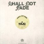 Kilig - What My Mind Needs (Vinyl) House Music Breaks Downbeat Shall Not Fade – SNFCC002