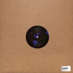 Leonid - Namurian Phase EP (Vinyl) Ambient Acid House Electro Techno