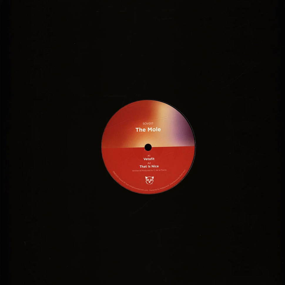 The Mole - That Is Nice EP (Vinyl) Deep House Minimal House Sound Of Vast – SOV017