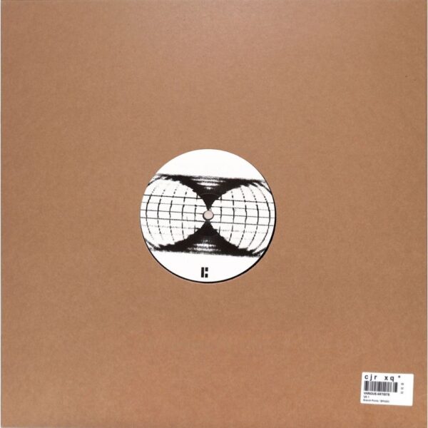 Various - VA #1 (Vinyl) UK Garage Techno Dub Techno Dubstep Branch Points – BPA003