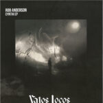 Rob Anderson - Cynthi EP (Vinyl) Tech House Deep Techno Vatos Locos ‎– VL030
