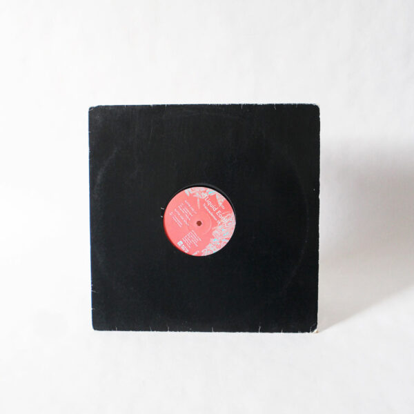 Liquid Earth - Transcedenton EP (Vinyl Second Hand) Minimal House Tech House Butter Side Up – BSU004