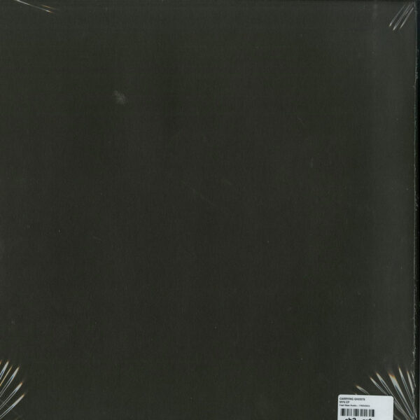 Carrying Ghosts - Myn (Vinyl) Acid Techno Techno Feel Raw – FRA-V003