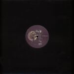 Gen-Y - Earth Experience (Vinyl) Electro Electro Techno House Clone West Coast Series – CWCS018