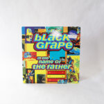 Black Grape - In The Name Of The Father (Vinyl Second Hand) Alternative Rock Britpop Radioactive – RAXT 19