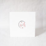 Club Style - Crazy Wild (Vinyl Second Hand) House Music Ghetto House Dance Mania – DM 080