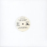 Young Male - Hot For Destiny And The Street (Vinyl) Deep Techno Minimal Techno White Material – WM008