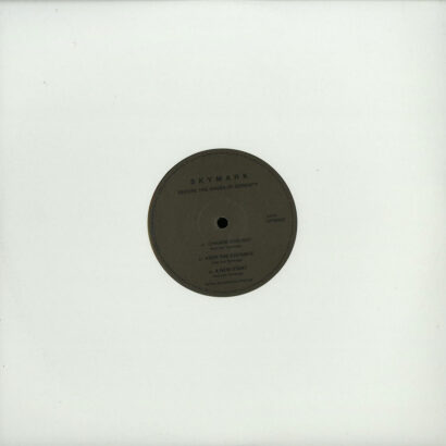 Skymark - Before The Waves Of Serenity (Vinyl) Deep House Chicago Old Future Music – OFM003