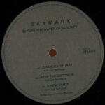 Skymark - Before The Waves Of Serenity (Vinyl) Deep House Chicago Old Future Music – OFM003