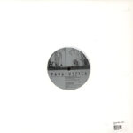 Cosmic Metal Mother & Sal P. - Try (Vinyl), Label: Panacustica – PANACUSTICA005, Country: Italy, Released: 27.03.2013, Style: House Music, Deep House, Cosmic