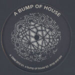 Reade Truth - A Bump Of House (Vinyl) House Music Techno Path Records – Path-009