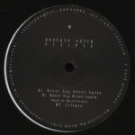 Roberto Auser - Eclipse (Vinyl) Electro Techno Pinkman – PNKMN002