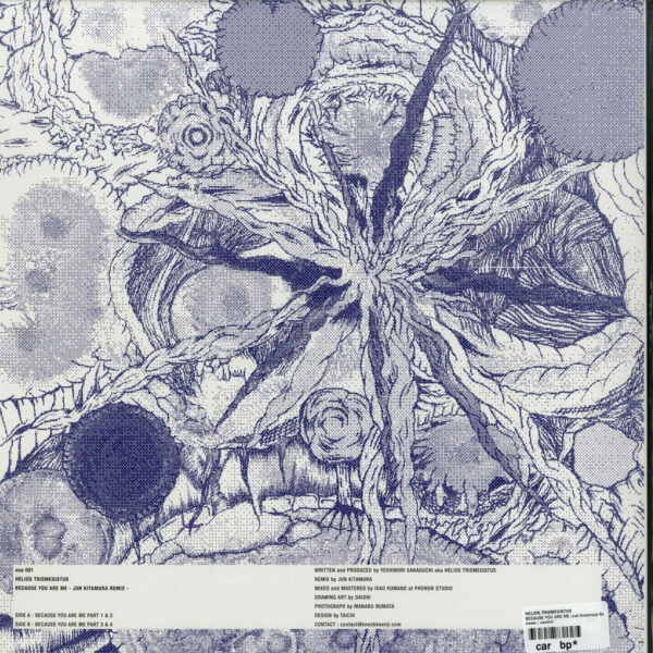 Helios Trismegistus - Because You Are Me (Vinyl) Electro House Music Eaase – EAA001