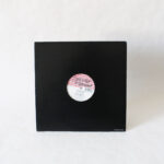 Crazy Canuk - I Want To Get You (Vinyl Second Hand) House Music Deep House Strictly Rhythm – SR12496