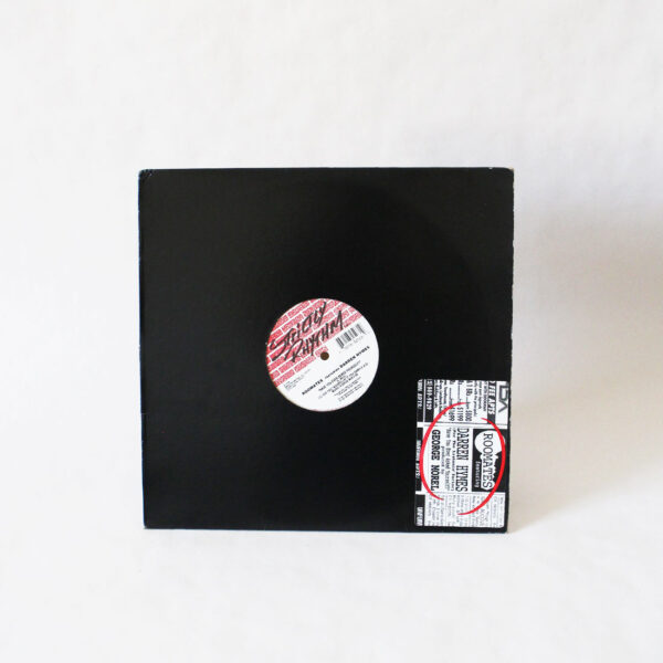 Roomates feat. Darren Hymes - Have You Ever Asked Yourself? (Vinyl Second Hand) House Music Strictly Rhythm – SR12508