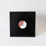 Phunkie Souls - Tha Music (Floats Your Cares Away) (Vinyl Second Hand) House Music Funky House