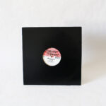 Phunkie Souls - Tha Music (Floats Your Cares Away) (Vinyl Second Hand) House Music Funky House