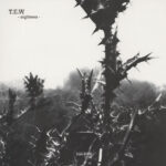 T.E.W. – Eighteen (Vinyl) Experimental Electro electronique.it – ELE-R006