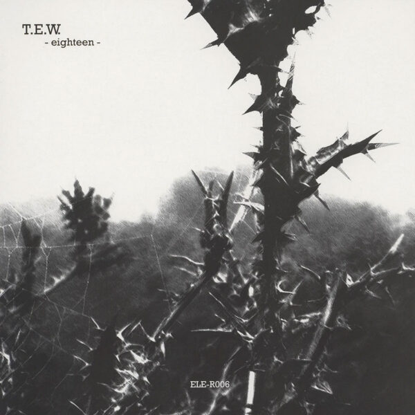 T.E.W. – Eighteen (Vinyl) Experimental Electro electronique.it – ELE-R006